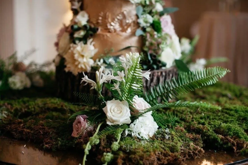 Audrey & Aaron wedding, photo 23 of 24